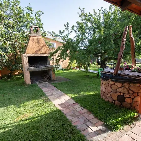 Is Cuccus 3* Masainas