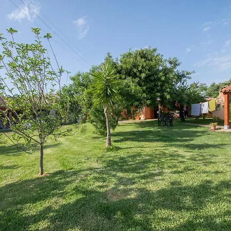 Is Cuccus 3* Masainas