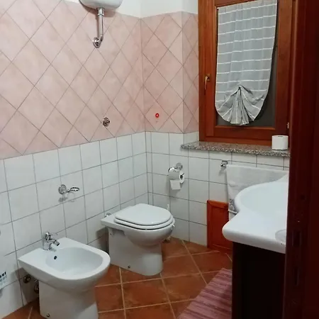 Is Cuccus 3* Masainas