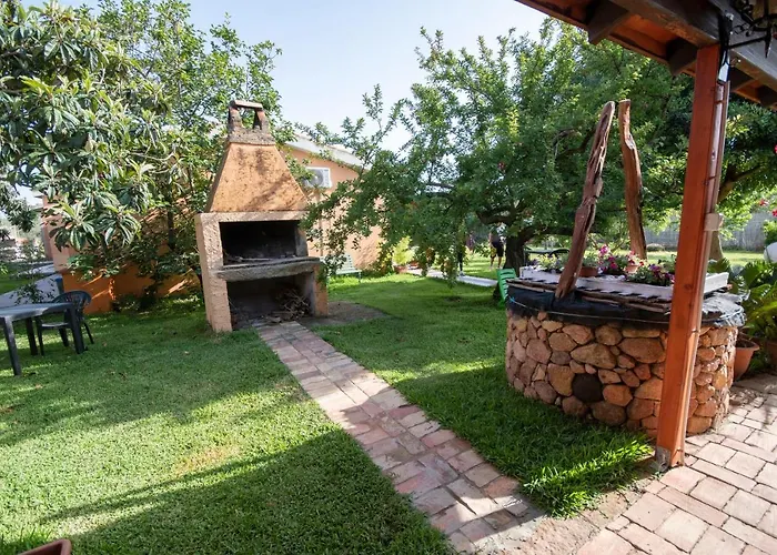 Is Cuccus 3* Masainas