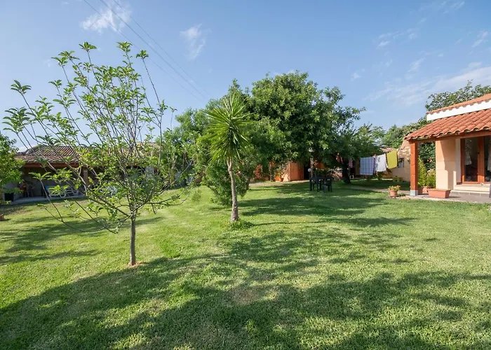 Is Cuccus 3* Masainas