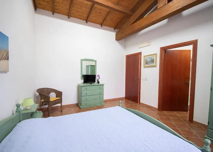 Is Cuccus 3* Masainas