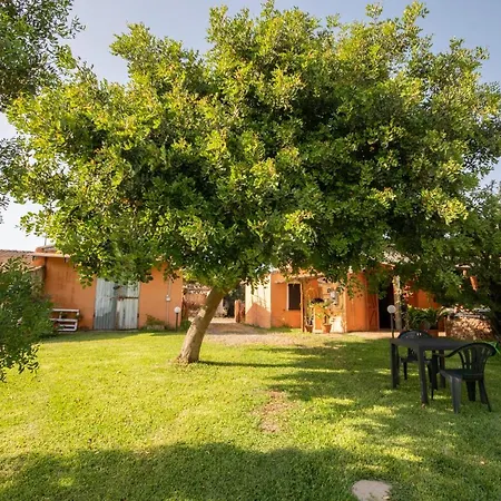 Bed and Breakfast Is Cuccus