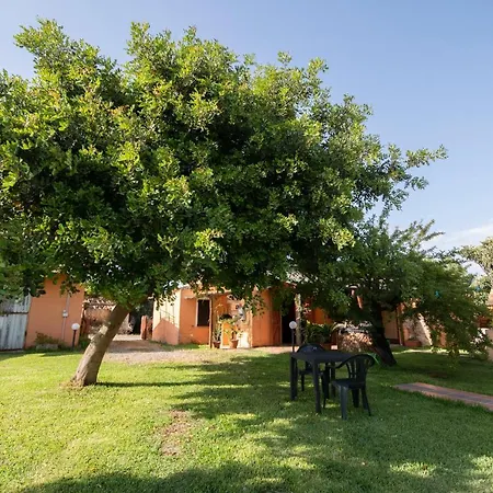 Is Cuccus Bed & Breakfast 3*