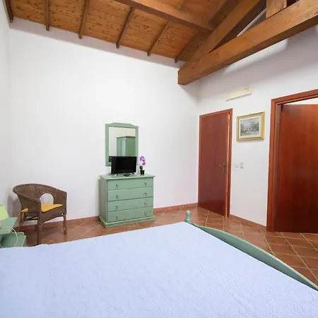 Is Cuccus 3* Masainas